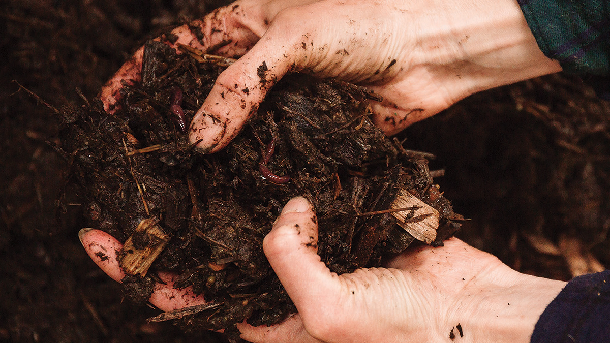 Compost with Confidence this Fall